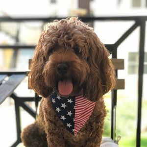 Meet your Posher, Loreley